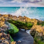 erene Jupiter Florida beaches with turquoise waters, palm trees, and sandy shoreline