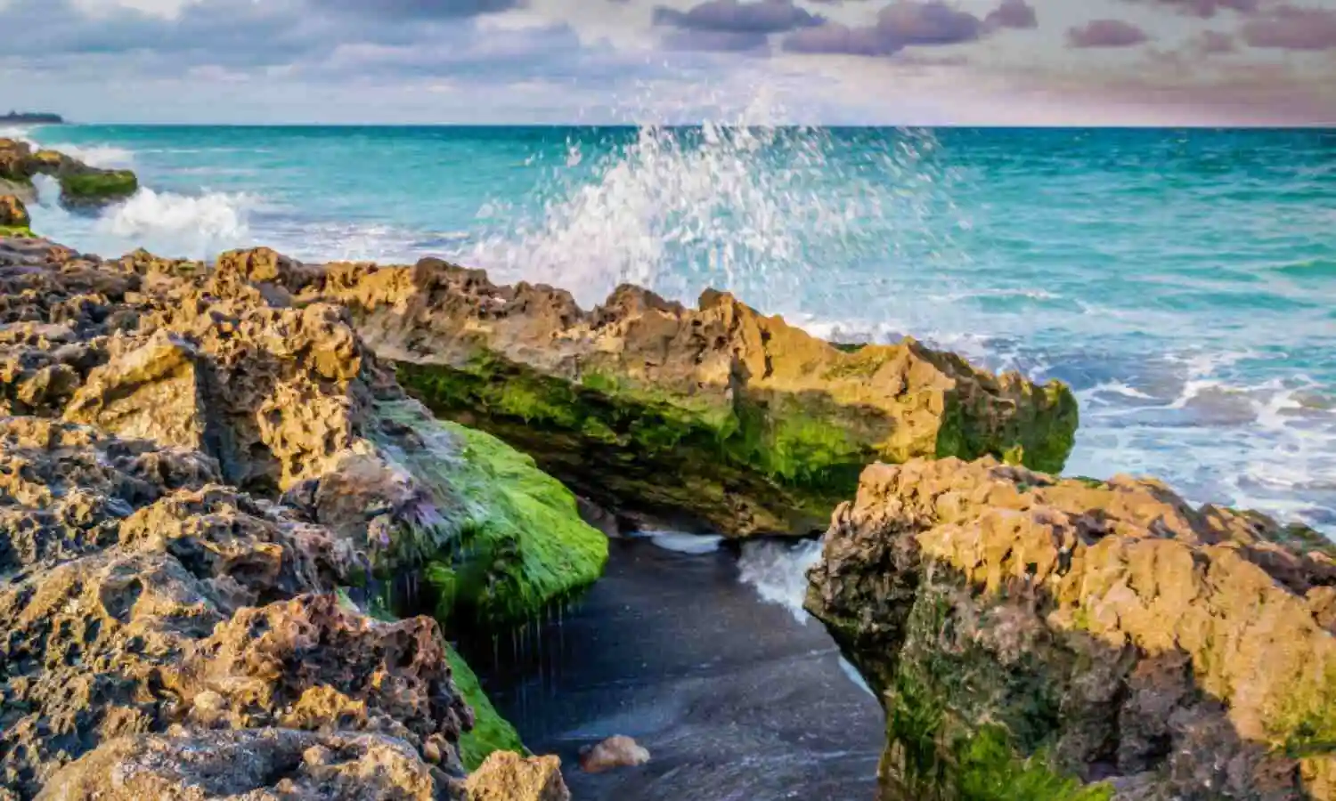 erene Jupiter Florida beaches with turquoise waters, palm trees, and sandy shoreline